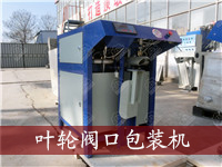 閥口包裝機(jī)